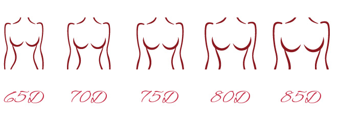 Рисунок разного телосложения женщин с размером груди D